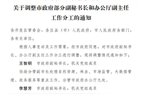 郑州调整市政府部分副秘书长和办公厅副主任工作分工图片