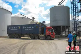 生猪产能全面恢复“哈铁”助力饲用谷物南下“颗粒归仓”图片