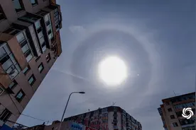 耀眼！哈尔滨出现“日晕”景观图片