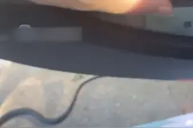 长沙一男子打开车门看见车身长的大黑蛇，蛇头已经立起...吓到声音颤抖图片