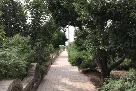 玫瑰香飘万里 旅游振兴乡村丨兰州“美丽乡村记者行”走进永登县苦水镇下新沟村图片