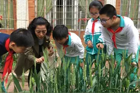 广州多所学校建起小农田，学生的日记亮了图片
