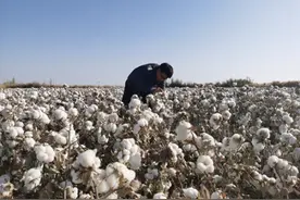 放弃企业百万元年薪和内地公职，一路“下”行 余渔：北大博士的另类选择图片