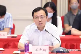能源局高官重提“千乡万村驭风计划”，分散式风电迎来转机？图片