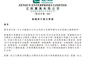 正商实业拟发行优先票据，用于境外债务再融资图片