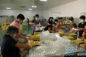 鸡蛋还要清洗和紫外线杀菌？郏县一枚小鸡蛋牵动大产业图片
