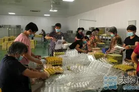 鸡蛋还要清洗和紫外线杀菌？郏县一枚小鸡蛋牵动大产业图片