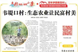 韦堤口村：生态农业又有新突破图片