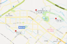 集中土拍⑥丨青白江专场结束，三宗地总成交价13.97亿图片