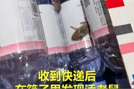 矿泉水快递现活老鼠！天猫超市致歉称将排查原因，已下架产品图片