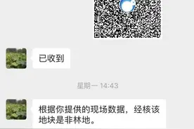 东平县：小轨迹助力林木采伐审批效率大提升图片