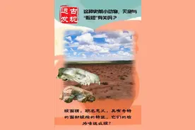“猬”，你的脸咋这么短……图片