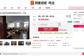 5宗司法拍卖指向百亿富豪陈建铭：被执行总额超百亿，遭法院千万悬赏图片