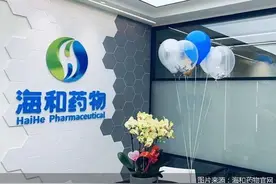 暂缓审议后再上会，海和药物绕不开的“真伪创新”考问图片