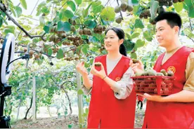“互联网”激活县域经济图片