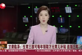 甘肃临泽：生育三孩可每年领取万元育儿补贴  连领三年视频封面