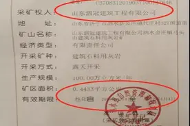 山东济宁矿山综合整治不力 督察整改责任不落实图片