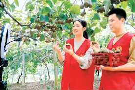 “互联网+”激活县域经济“新农人”显身手图片