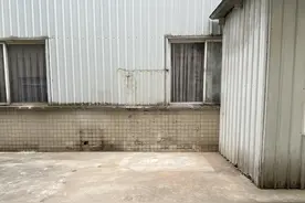 纸箱厂晚上传来奇怪臭味？街办：已拆除臭气池，将加大巡查力度图片