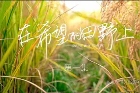 《在希望的田野上》：这群可爱可气的普通人，撑起了乡村振兴的小故事大道理图片