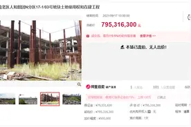 重庆渝北山东大厦烂尾楼7.95亿元一拍流标 买家报名不出价图片