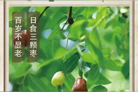 农历中国 | 八月十一 · 打枣子图片