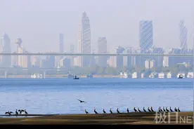 亲水乐水！武汉打造世界级百里长江生态廊道，武昌八铺街江滩等已开放图片