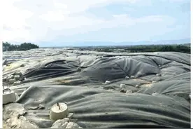 “临时抱佛脚”一幕 督察组到来前一天紧急购置处理设备图片