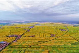平罗：大河奔流唱响高质量发展时代强音图片