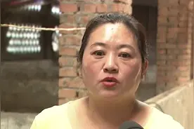 卖一头亏七八百元！价格跌破成本线！养殖户：寒冬已至...“二师兄”飞不动了？图片