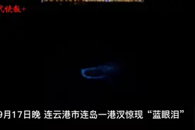 连云港连岛海边惊现迷人“蓝眼泪”图片