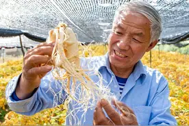 风采 | 山东威海市文登区口子李村书记王文水：造福乡亲“参”情不移图片