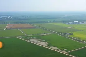 乡间麦克风-山东高青 | 一块土地4份收入 农民丰收话幸福视频封面