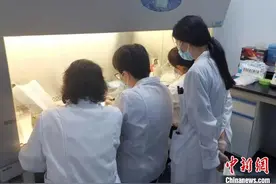 贵州首次独立完成重大传染病病原全基因组测序图片