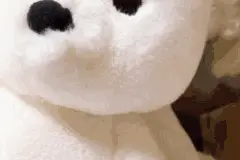 再次强调！家长不要这样带孩子，太危险了……图片