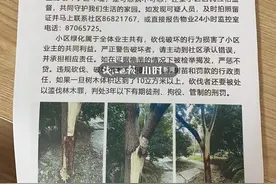 记者帮 | 活生生被“扒了皮”，杭州一社区怒贴告示：极其恶劣，谁干的图片