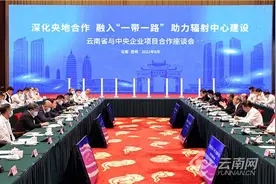 云南省与中央企业项目合作座谈会举行：开创“央企入滇”合作共赢崭新局面图片
