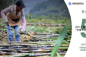 荣耀！莲都72名新兵佩剑入伍！区委书记现场寄语……图片