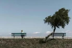 生活圈里的仿生学图片