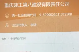 海螺项目非法破坏森林植被，承建方重庆建工第八公司被官方处罚图片
