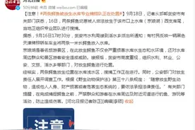 车主竟然将两条鳄鱼放生水库 当地紧急报告图片