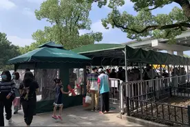 4.35万，共青森林公园迎来免费后首个大客流！小长假首日申城公园游客如织图片