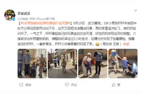 5岁男孩被训后带玩具剑行走天涯 被警察教育后跟着奶奶回了家图片