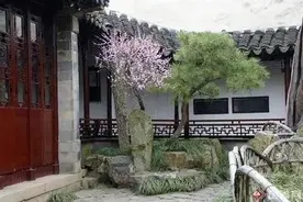 耐耐老师讲故事 |《小桃树和小松树》图片