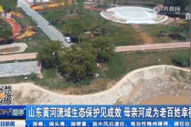 山东黄河流域生态保护见成效 母亲河成为老百姓幸福河视频封面