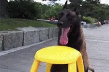 每日一笑，大哥收我做小弟图片
