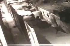 西宁一女子深夜归家被尾随，家门口被人从背后勒住脖子…………图片