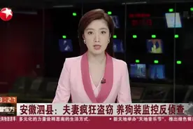 安徽泗县：夫妻疯狂盗窃  养狗装监控反侦查视频封面