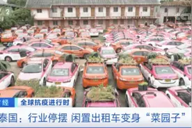 交不起“份子钱”！泰国出租车公司在车顶种菜、养田蛙维持生计……图片
