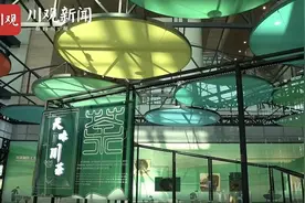 西博会五日谈⑤| 好看又好玩，体验“非一般”的四川特色优势产业视频封面